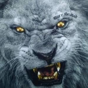 Meet your Posher, Brian buck